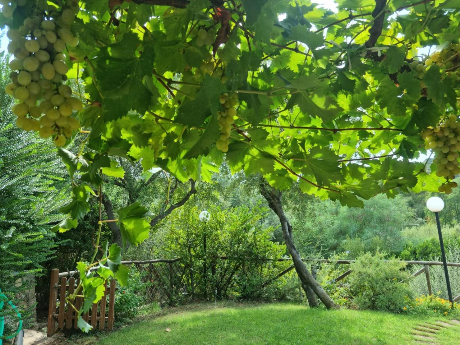 Verde E Mare Villasimius Zewnętrze zdjęcie